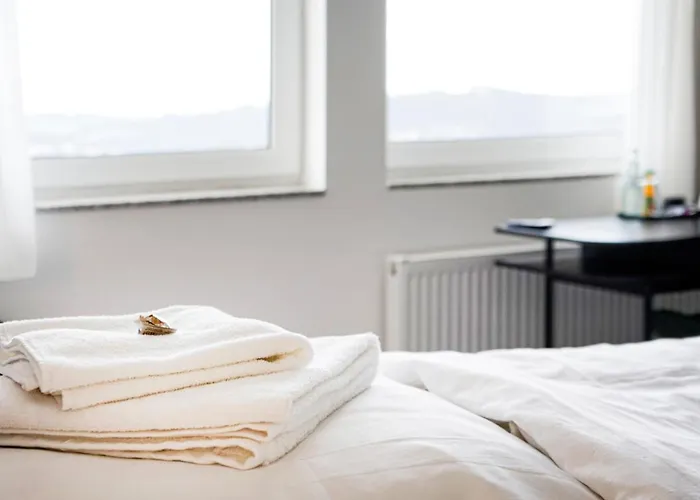 Si-view Einzelzimmer Mit Stadtblick 19 -